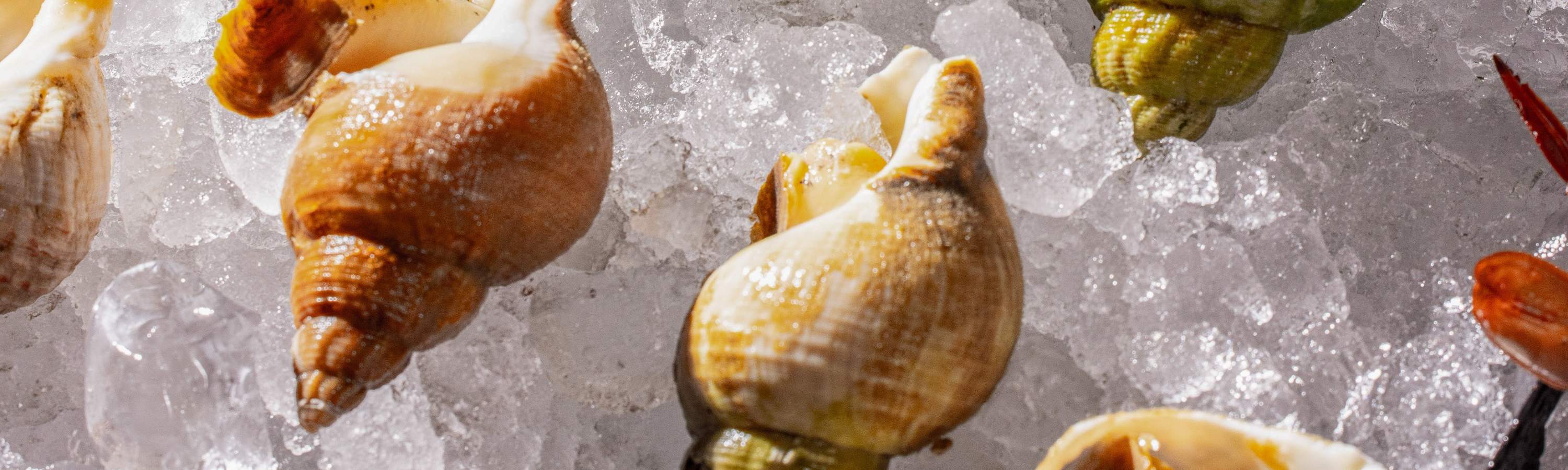 บุฟเฟ่ต์อาหารเย็น